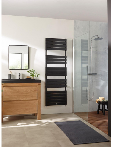 Sèche-serviettes Riviera 2 eau chaude 0495W noir carbone THERMOR 496107