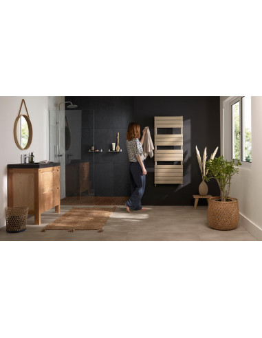 Sèche-serviettes Riviera 2 eau chaude 0685W noir carbone THERMOR 496109