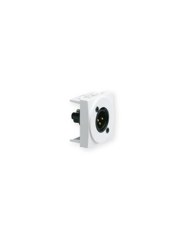 Prise TerCia XLR mâle bornier à vis 2 modules blanche IBOCO B45102