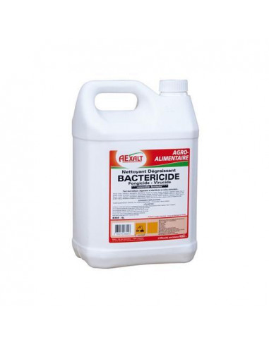 Nettoyant désinfectant BACTAEX PRO 5 LITRES PLUHO B305