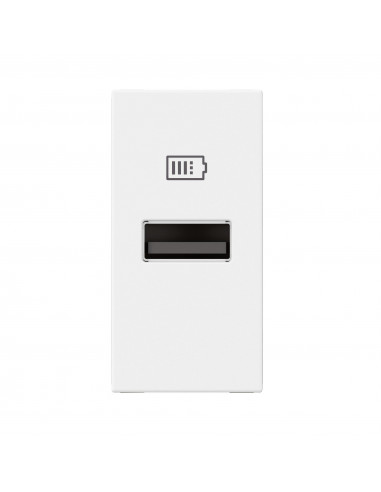Chargeur USB Type-A Mosaic 1 module blanc pour support LCM LEGRAND 077650L