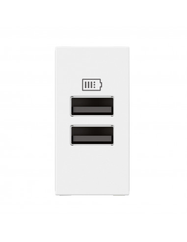 Chargeur 2 USB Type-A Mosaic 2 modules blanc pour support LCM LEGRAND 077660L