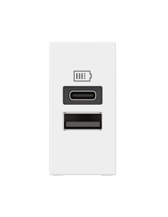 Chargeur USB Type-A+Type-C Mosaic 2 modules blanc pour support LCM LEGRAND 077670L
