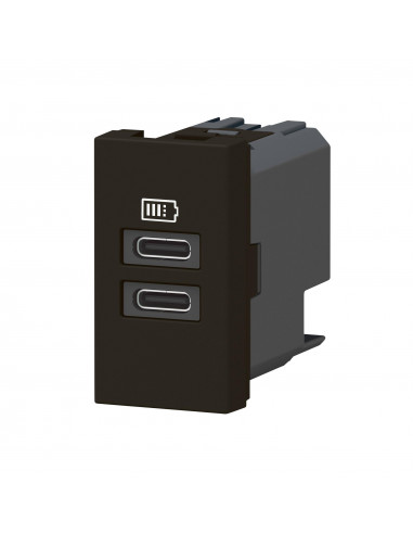 Chargeur 2 USB Type-C Mosaic 2 modules noir pour support LCM LEGRAND 077682L