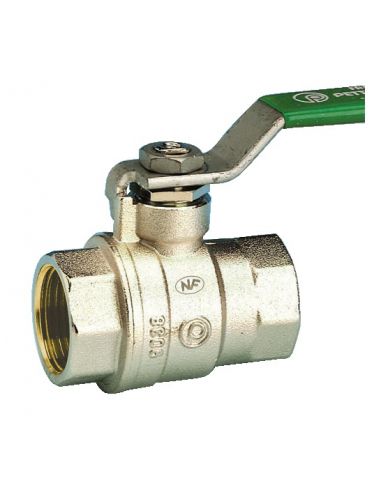 Vanne boisseau sphérique NF pression acier verte PN20 FXF DN40 PETTINAROLI 51CEV_40