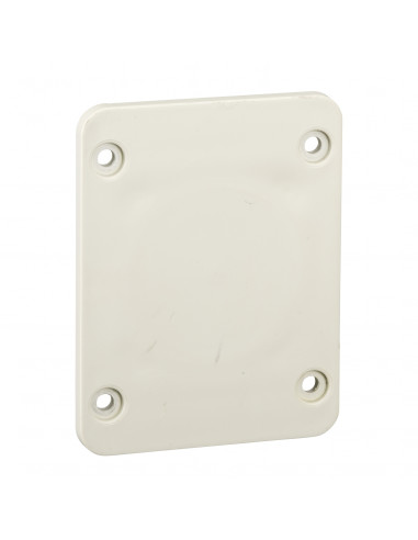 Kaedra plaque 65 x 85 mm pour prises 50 x 50 mm SCHNEIDER 13135