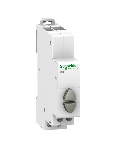 Acti9 iPB bouton-poussoir double 1 NO gris + 1 NO gris 20A 230VCA SCHNEIDER A9E18035
