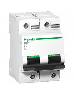 Disjoncteur C120N 2P 125 A courbe C 10 kA SCHNEIDER A9N18363