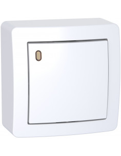 Alréa Poussoir O/F lumineux faible conso avec cadre saillie blanc polaire SCHNEIDER ALB62052P