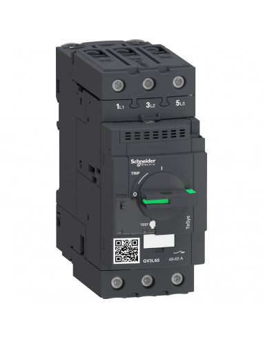 TeSys GV3L disjoncteur moteur 65A 3P 3d déclencheur magnétique SCHNEIDER GV3L65