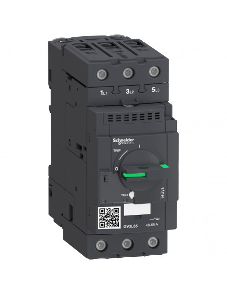 TeSys GV3L disjoncteur moteur 65A 3P 3d déclencheur magnétique SCHNEIDER GV3L65