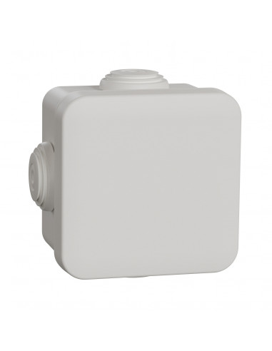 Mureva Box boite de dérivation avec embouts 65x65x45 IP55 blanc polaire SCHNEIDER IMT05022