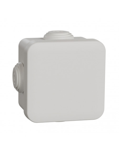 Mureva Box boite de dérivation avec embouts 65x65x45 IP55 blanc polaire SCHNEIDER IMT05022