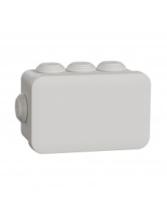 Mureva Box boite de dérivation avec embouts 105x65x55 IP55 blanc polaire SCHNEIDER IMT05023