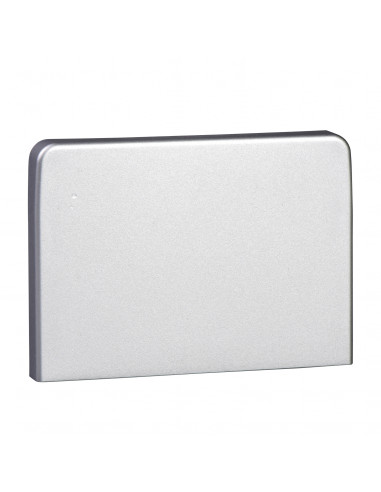 OptiLine 45 goulotte aluminium 165 x 55 mm embouts SCHNEIDER ISM10454