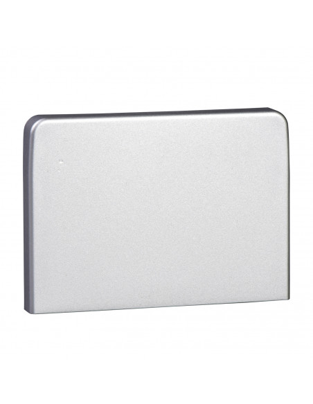 OptiLine 45 goulotte aluminium 165 x 55 mm embouts SCHNEIDER ISM10454