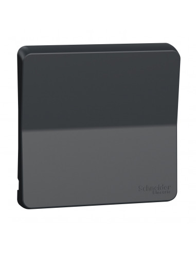 Mureva Styl Enjoliveur avec symbôle sonnette IP55 IK08 gris SCHNEIDER MUR34201