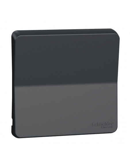 Mureva Styl Enjoliveur avec symbôle sonnette IP55 IK08 gris SCHNEIDER MUR34201
