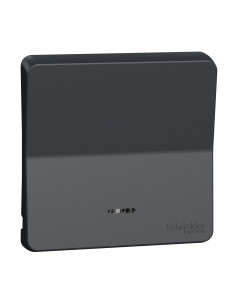 Mureva Styl Enjoliveur avec lentille IP55 IK08 gris SCHNEIDER MUR34204