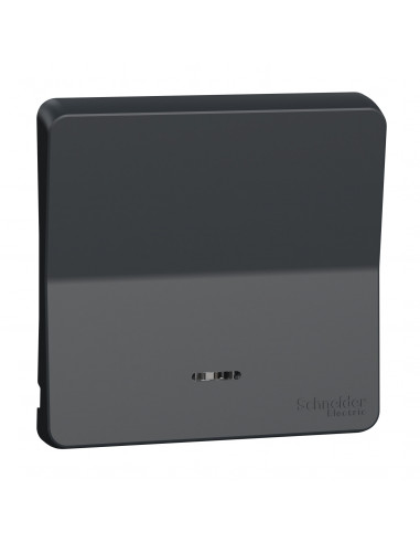 Mureva Styl Enjoliveur avec lentille IP55 IK08 gris SCHNEIDER MUR34204