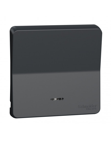 Mureva Styl Enjoliveur avec lentille IP55 IK08 gris SCHNEIDER MUR34204