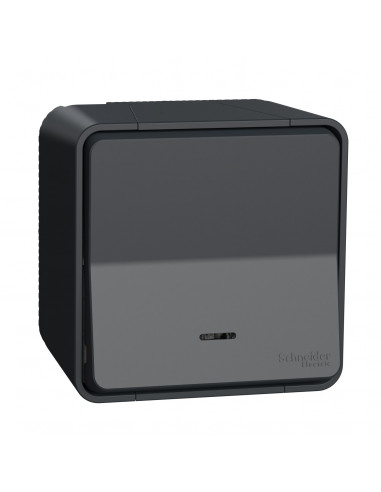 Mureva Styl Va et vient lumineuxLED saillie IP55 IK08 connex auto gris SCHNEIDER MUR35024