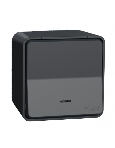 Mureva Styl Va et vient lumineuxLED saillie IP55 IK08 connex auto gris SCHNEIDER MUR35024