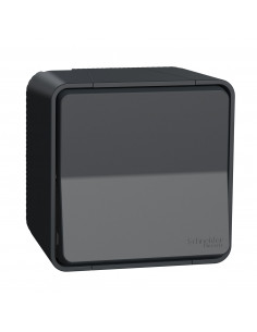 Mureva Styl Interrupteur bipolaire saillie IP55 IK08 connex auto gris SCHNEIDER MUR35033