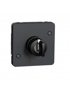 Mureva Styl Interrupteur à clé 3 positions composable IP55 IK08 gris SCHNEIDER MUR35061 2