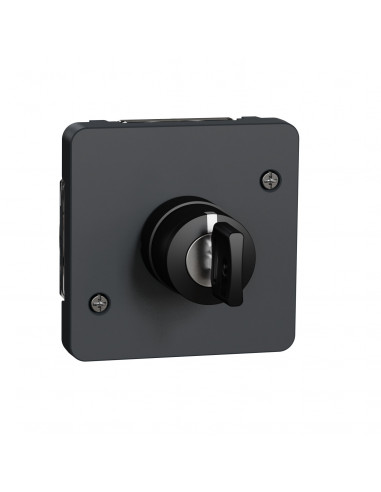 Mureva Styl Interrupteur à clé 3 positions composable IP55 IK08 gris SCHNEIDER MUR35061