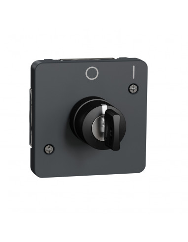 Mureva Styl Interrupteur à clé 2 positions composable IP55 IK07 gris SCHNEIDER MUR35062