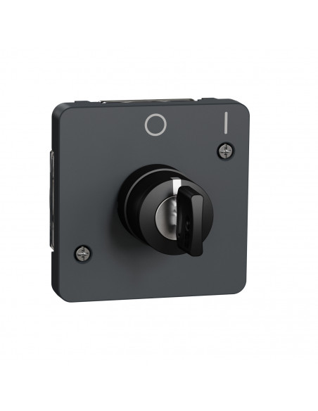 Mureva Styl Interrupteur à clé 2 positions composable IP55 IK07 gris SCHNEIDER MUR35062