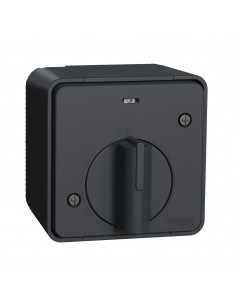 Mureva Styl Interrupteur temporisé LED saillie IP55 IK08 gris SCHNEIDER MUR35067