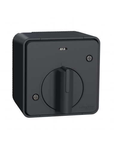 Interrupteur temporisé Mureva Styl LED saillie IP55 IK08 gris SCHNEIDER MUR35067