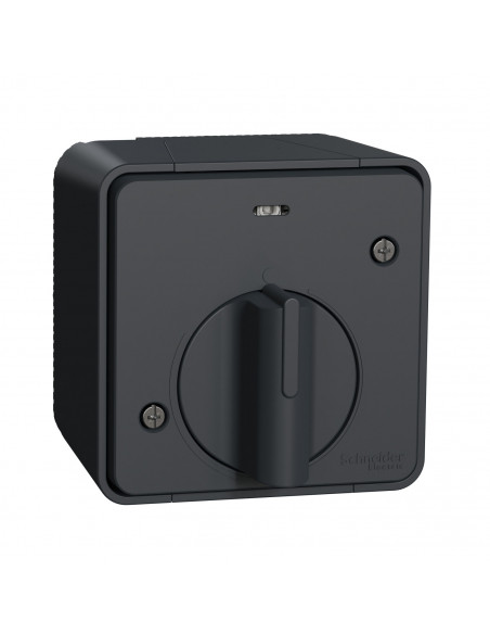 Interrupteur temporisé Mureva Styl LED saillie IP55 IK08 gris SCHNEIDER MUR35067