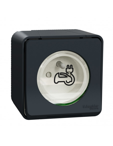 Mureva Styl Prise courant 2P+T renforcee saillie IP55 IK08 pour Véhicule Electrique grise SCHNEIDER MUR36010