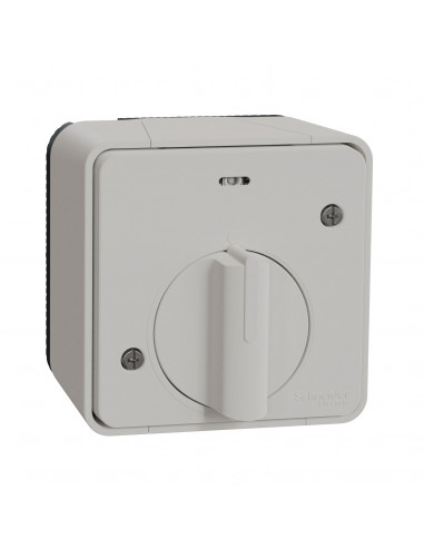 Mureva Styl Interrupteur temporisé LED saillie IP55 IK08 blanc SCHNEIDER MUR39067