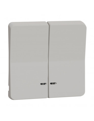 Mureva Styl Enjoliveur 2 demi touche IP55 IK08 blanc SCHNEIDER MUR39205
