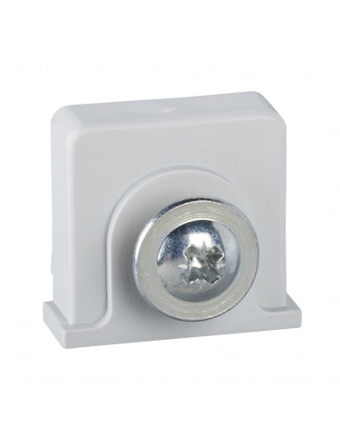 Thalassa PLM écrou plast. fixation des rails + vis autotaraudeuse coffret SCHNEIDER NSYTCSPLM