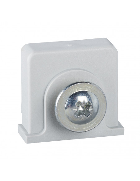 Thalassa PLM écrou plast. fixation des rails + vis autotaraudeuse coffret SCHNEIDER NSYTCSPLM