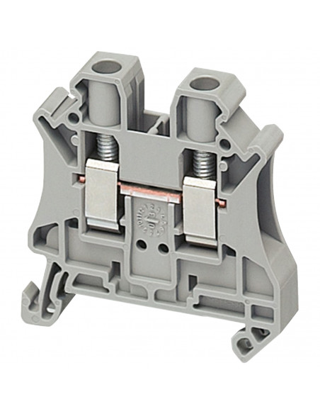Borne à vis passant 2 points 6mm² gris SCHNEIDER NSYTRV62