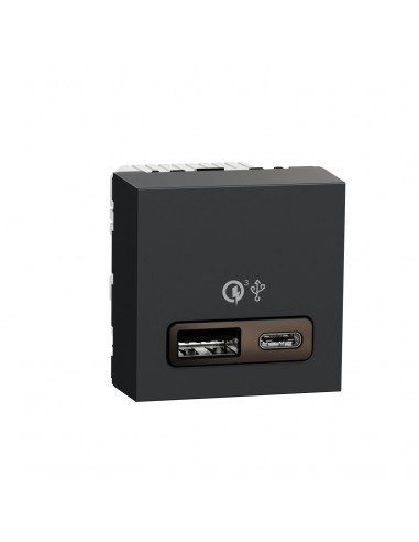 Unica prise chargeur USB double rapide 18W 3,4A type A+C 2 mod anthra SCHNEIDER NU301954