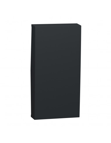 Unica enjoliveur interrupteur ou bouton-poussoir 1 mod Anthracite SCHNEIDER NU910054