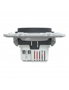 Ovalis C Series doube USB charger 2.4 A anthracite SCHNEIDER S340401