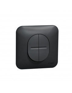 Ovalis double va et vient 10AX avec griffes Avec plaque -Anthracite SCHNEIDER S465214 2
