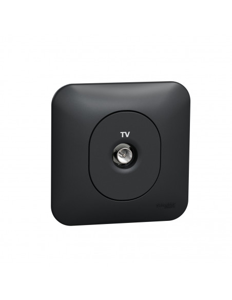 Ovalis prise TV simple fixation avec griffes Avec plaque -Anthracite SCHNEIDER S465405