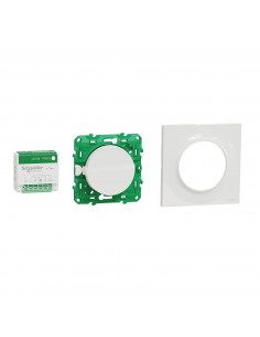 Kit Odace SFSP actionneur micro + Interrupteur + plaque style blanc SCHNEIDER S520192K 2
