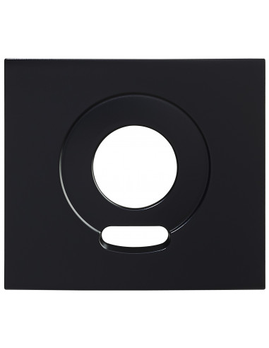 Façade finition noire satinée pour caméra GTVB GTVPB AIPHONE 200430