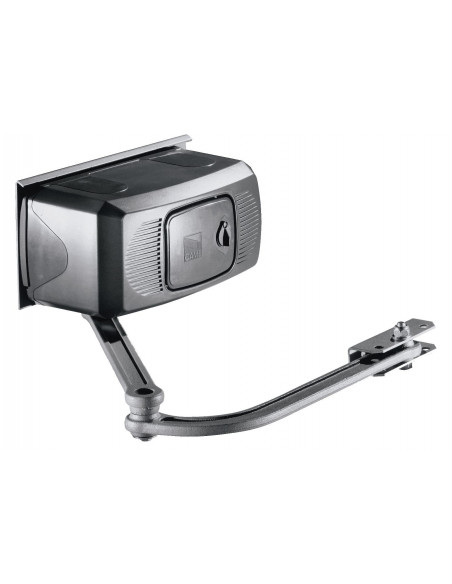 Motoréducteur FERNI irréversible CAME 001F1000