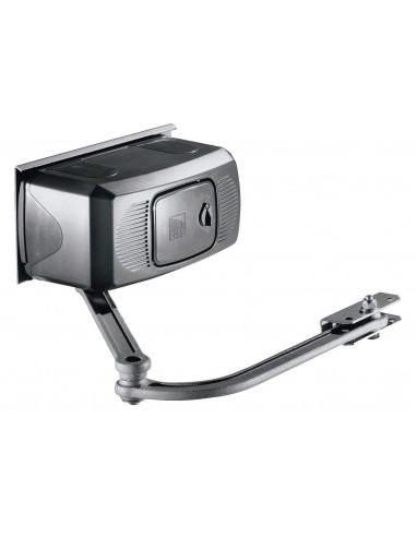 Motoréducteur FERNI irréversible en 24V CAME 001F1024